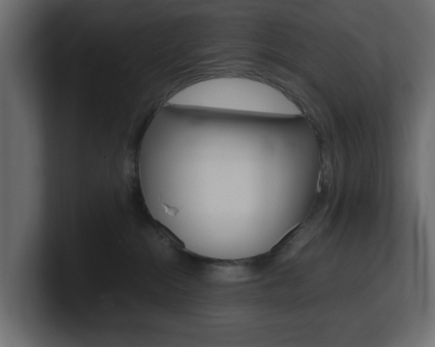 X0000101190284200806270853