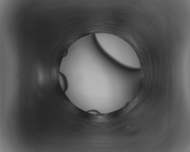 X0000101190285200806270853