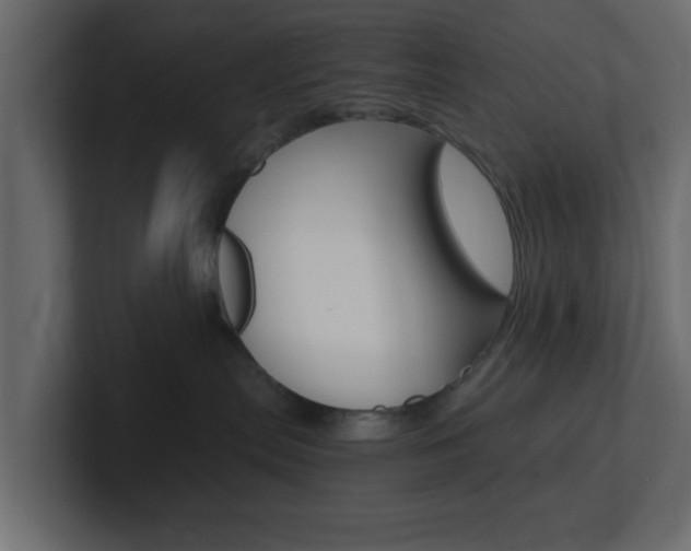 X0000101190287200806270853