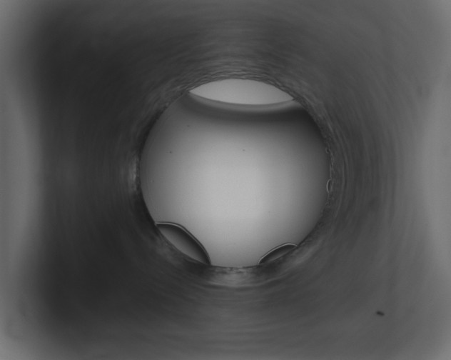 X0000101190288200806270853