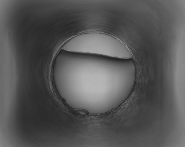 X0000101190289200806270853