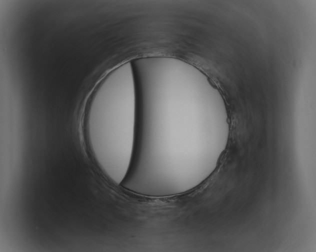 X0000101190290200806270853