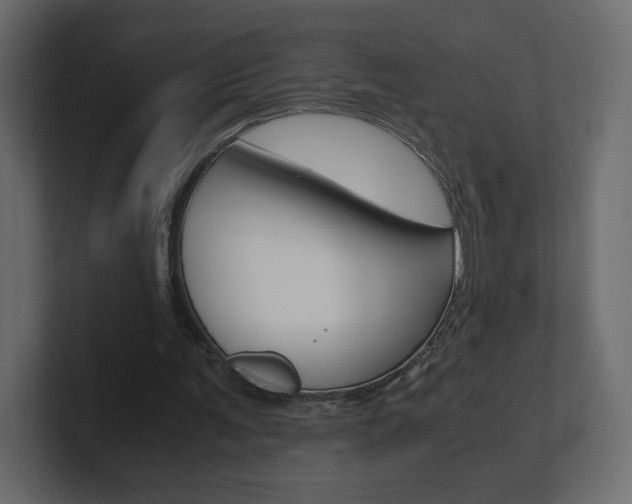 X0000101190291200806270853