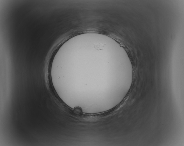 X0000101190293200806270853
