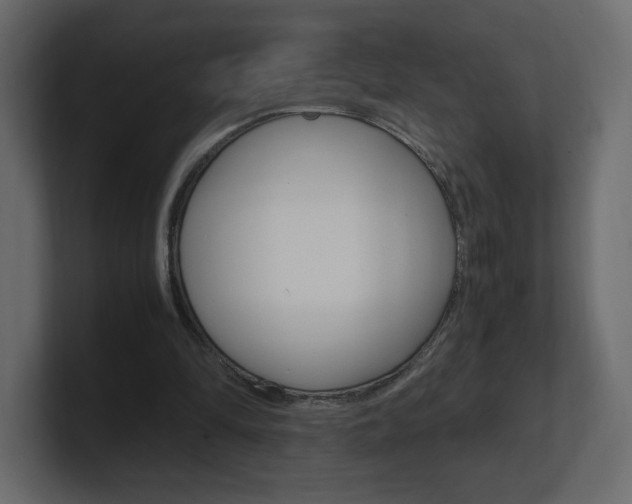 X0000101190294200806270853