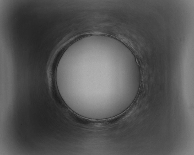 X0000101190295200806270853