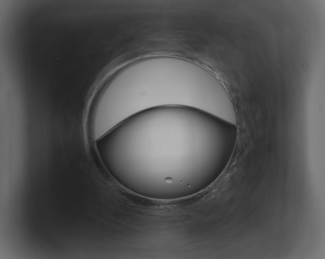 X0000101190296200806270853