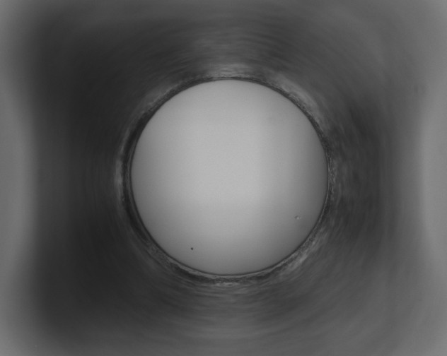 X0000101190298200806270853
