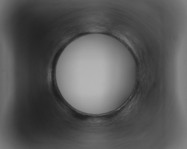 X0000101190299200806270852