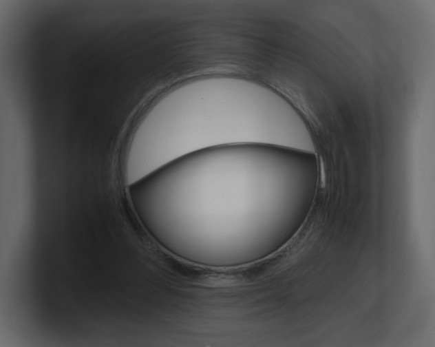 X0000101190300200806270852