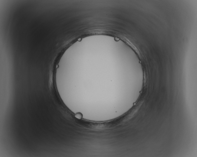 X0000101190301200806270852