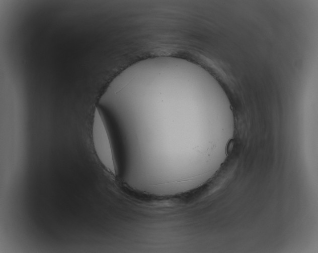 X0000101190307200806270852