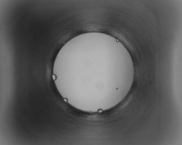 X0000101190309200806270852