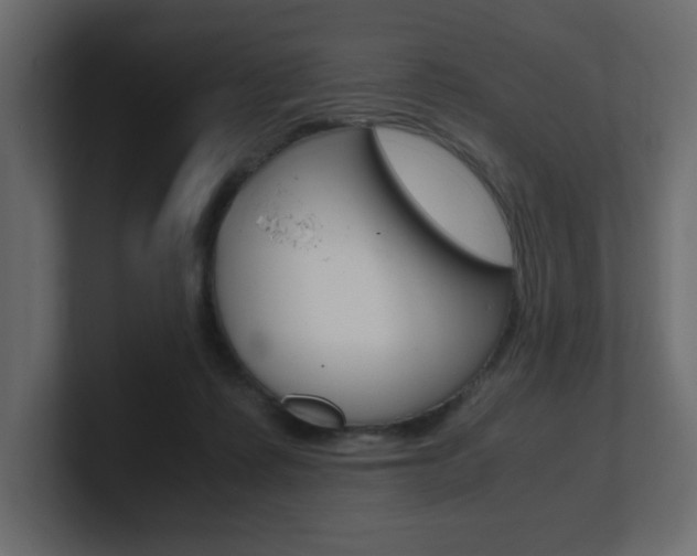 X0000101190315200806270852