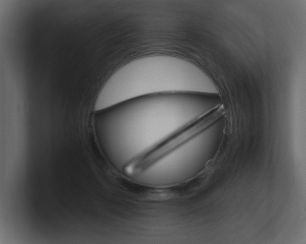 X0000101190316200806270852