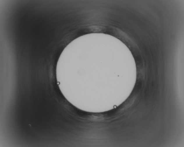 X0000101190317200806270852