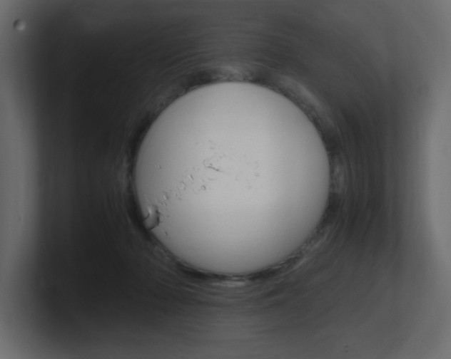 X0000101190318200806270852