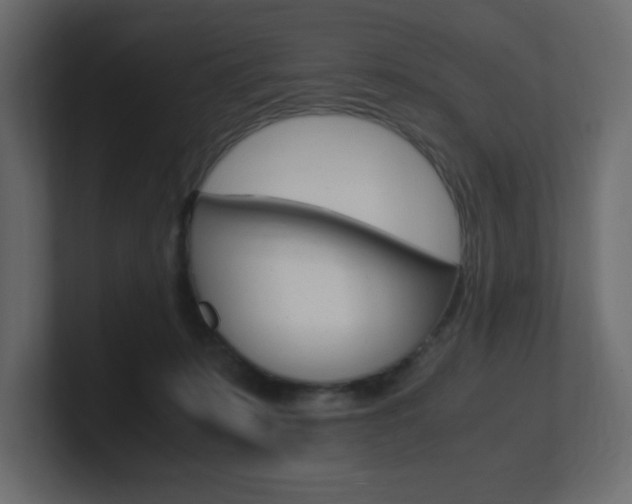 X0000101190319200806270852