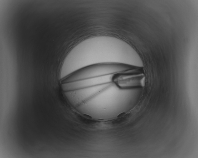 X0000101190320200806270852