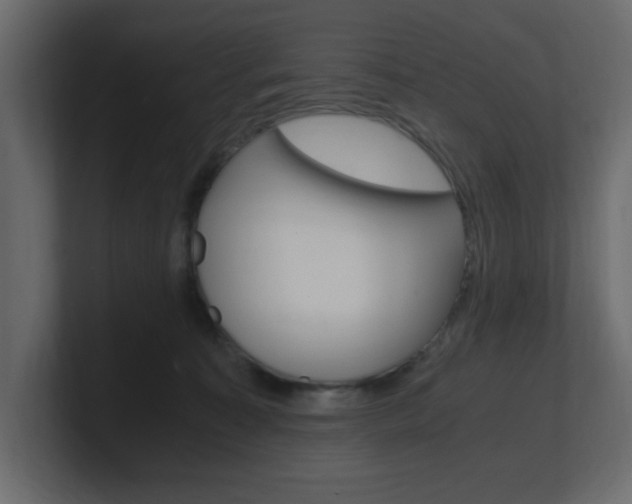 X0000101190323200806270852