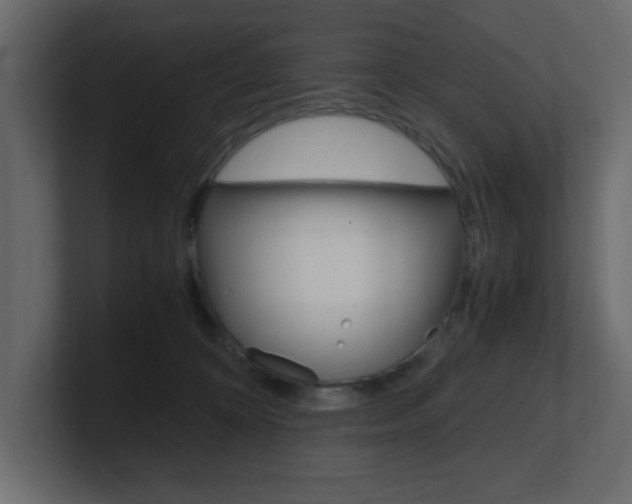 X0000101190324200806270852