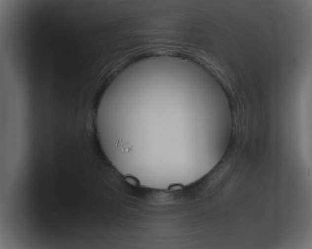 X0000101190325200806270852