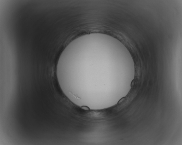X0000101190326200806270852
