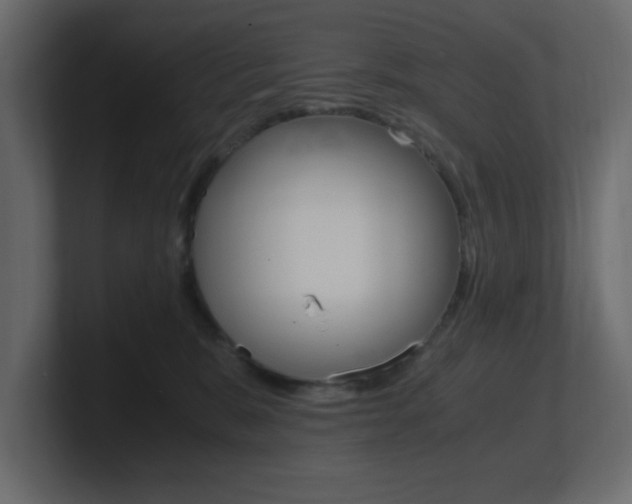 X0000101190327200806270852