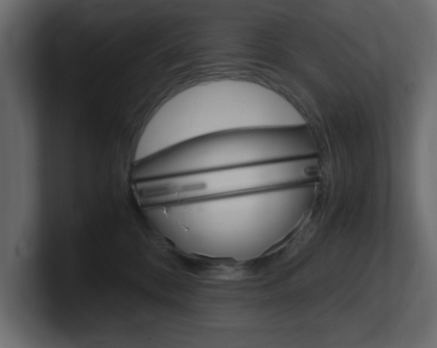 X0000101190328200806270852