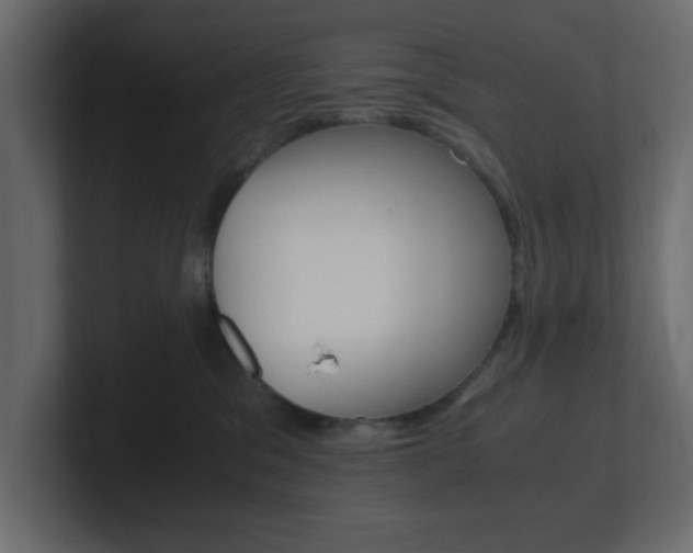 X0000101190329200806270852