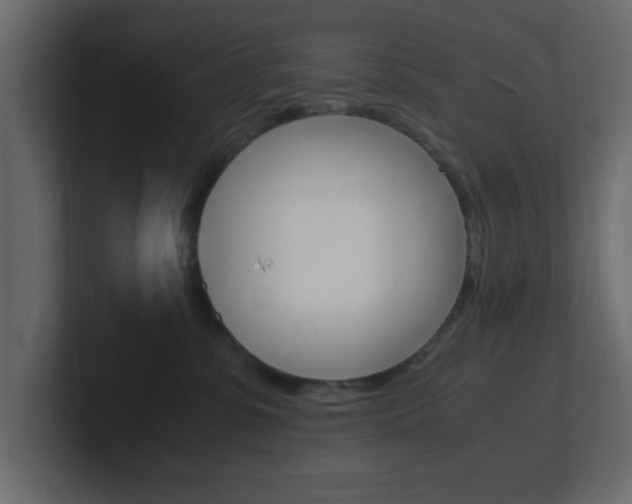 X0000101190331200806270852