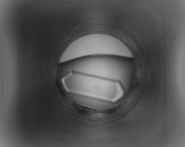 X0000101190332200806270852
