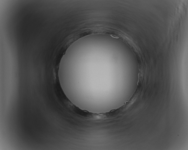 X0000101190333200806270852