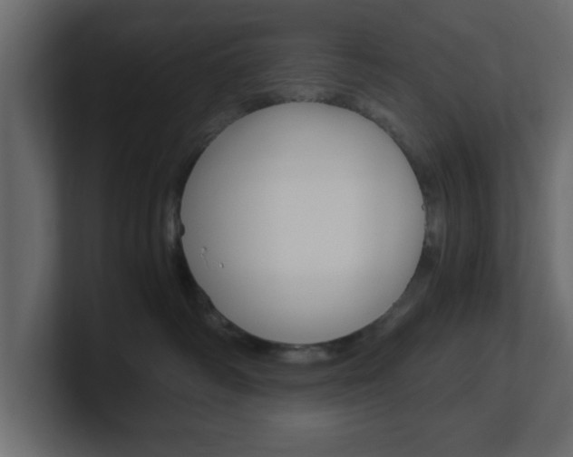 X0000101190334200806270852
