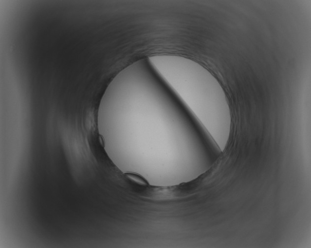 X0000101190335200806270852