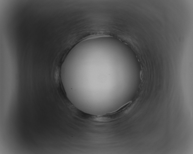 X0000101190336200806270852