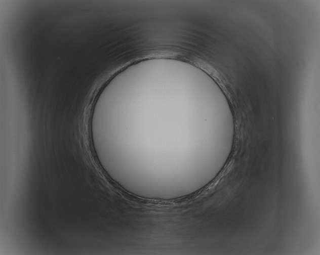 X0000101190337200806270851