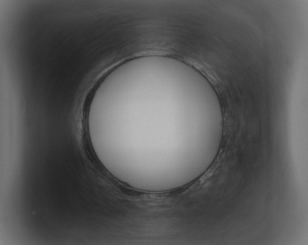 X0000101190338200806270851
