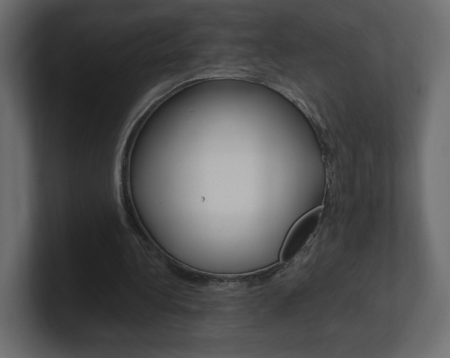 X0000101190340200806270851