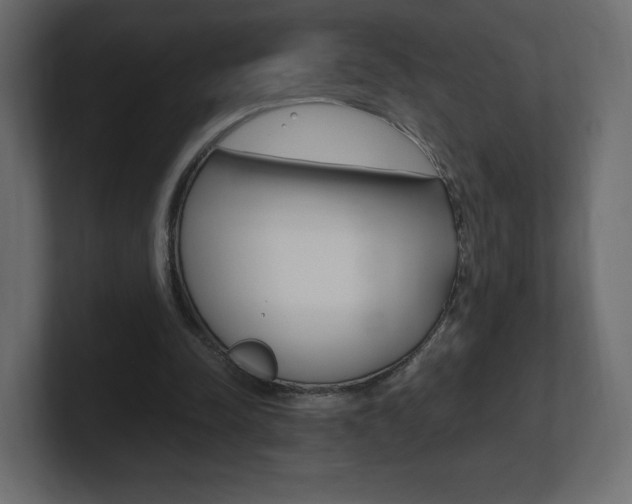 X0000101190342200806270851