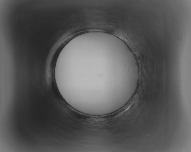 X0000101190343200806270851