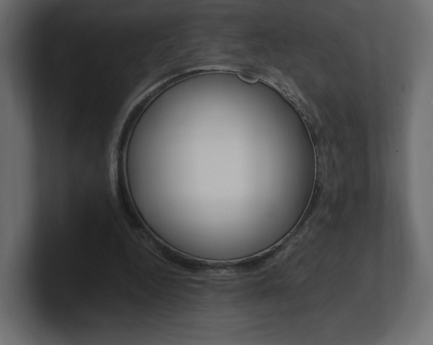 X0000101190344200806270851