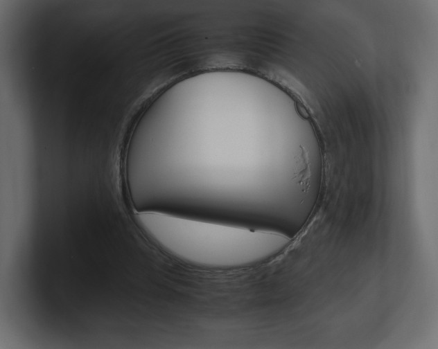 X0000101190345200806270851