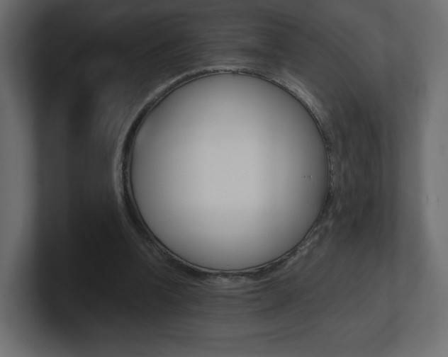 X0000101190346200806270851