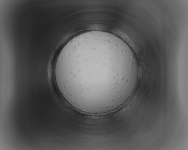 X0000101190347200806270852