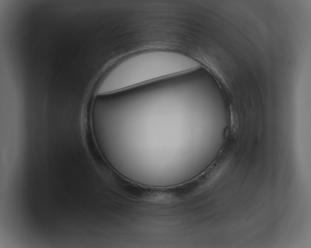 X0000101190348200806270852