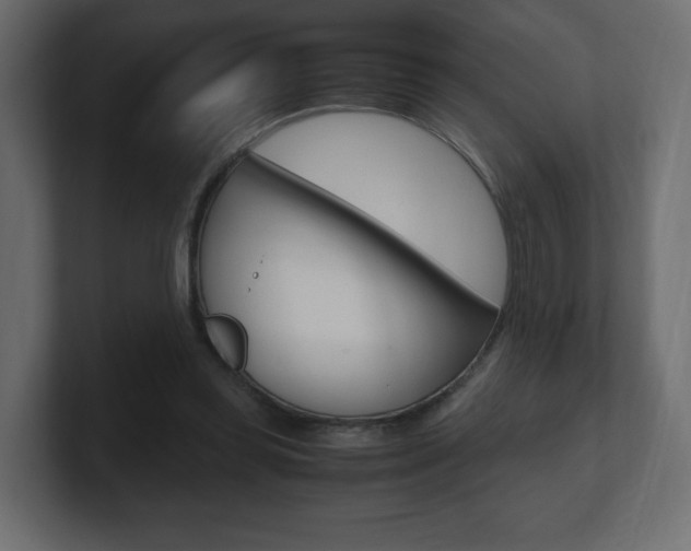 X0000101190349200806270852