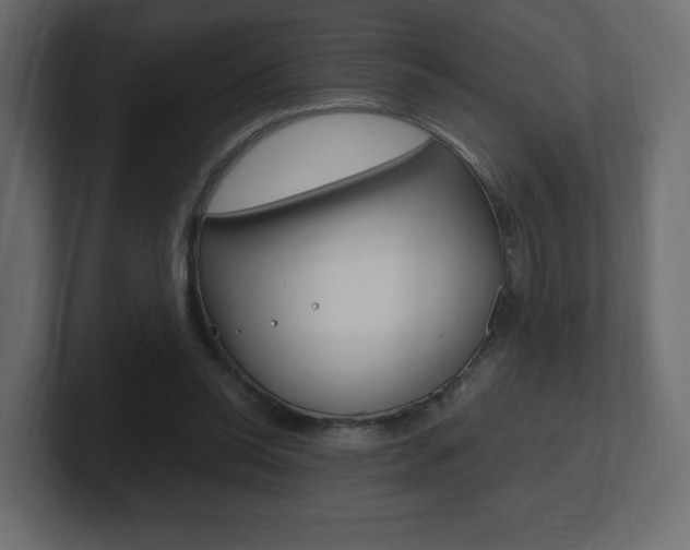 X0000101190350200806270852