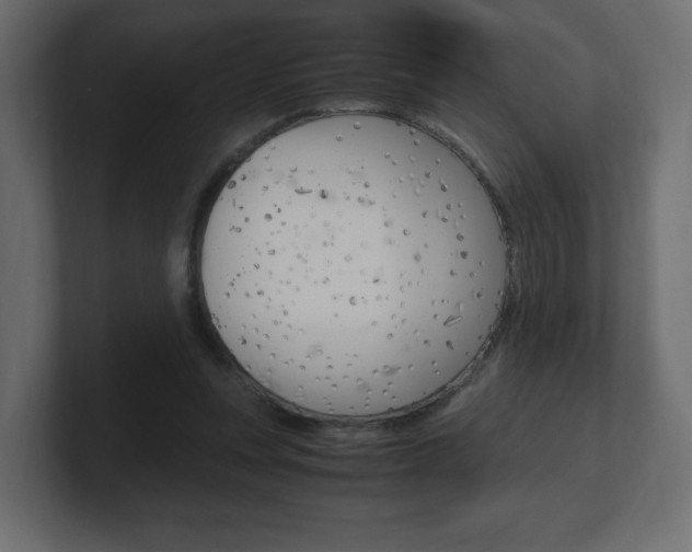 X0000101190351200806270852
