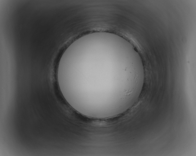 X0000101190354200806270852